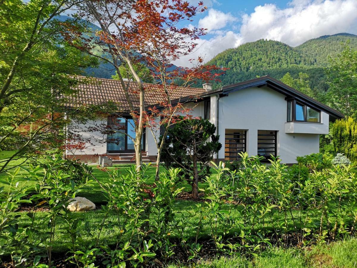 פרדבור Holiday House Red Deer מראה חיצוני תמונה